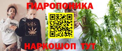 соль ск Можга