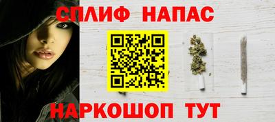 индика Можайск