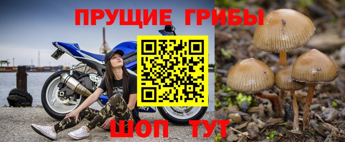 Галлюциногенные грибы GOLDEN TEACHER Выкса