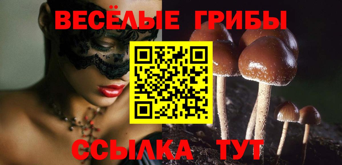 Галлюциногенные грибы прущие грибы  Выкса 