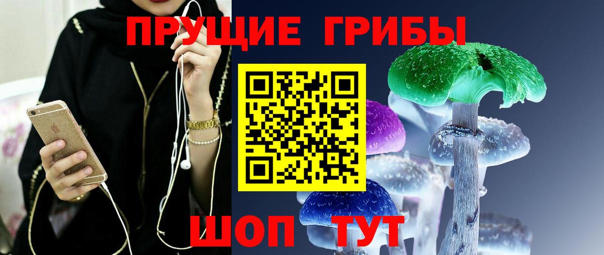 Выкса  Галлюциногенные грибы Magic Shrooms  Вход с VPN 